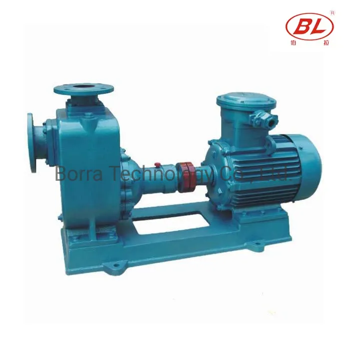 Centrifugal Electric Self-Priming Water Pump