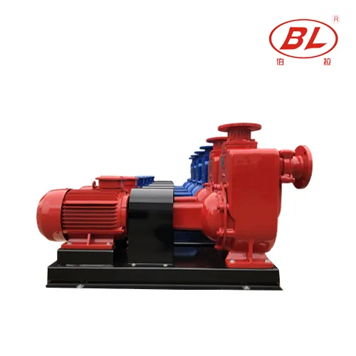 ZW Non-Clogging Self-Priming Sewage Pump