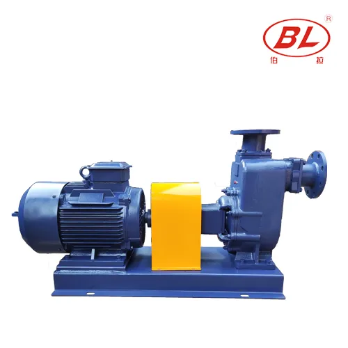 Self-Priming Sewage Pump for Construction Sites